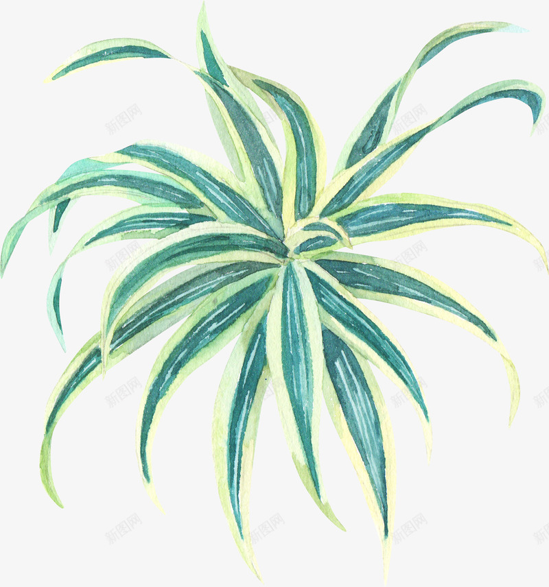 手绘水彩绿色植物小草png免抠素材_88icon https://88icon.com 小草 手绘 手绘水彩绿色植物小草PNG 植物 水彩 绿色