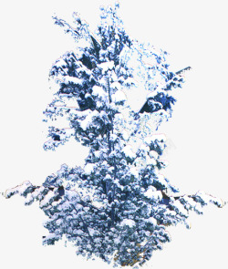 冬日白雪大树美景艺术素材
