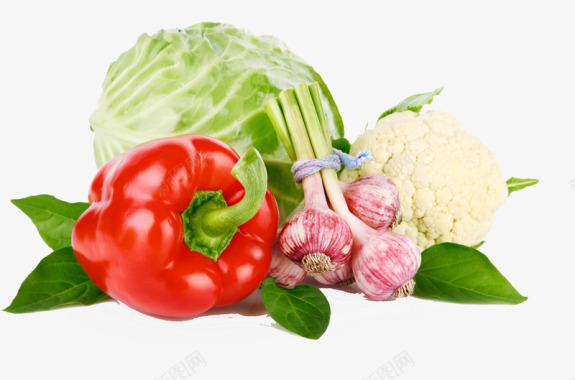 手绘线条蔬菜水果蔬菜图标图标