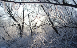 冬日纯洁世界美景素材