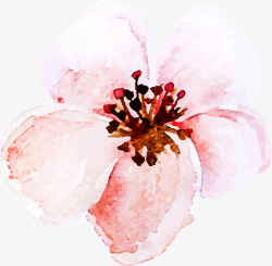 粉色水彩美丽花朵素材