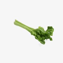 绿色食材芹菜芹菜叶素材