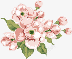 粉色水彩花朵植物美丽素材