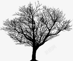 黑影树冬季枯树图标高清图片