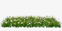 绿色野花草坪素材