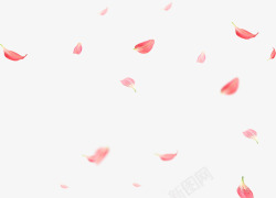 情人节红色漂浮花瓣素材