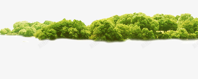 绿色的小树林png免抠素材_88icon https://88icon.com 小树林 海边 灌木 绿色 自然