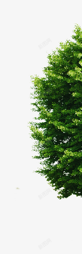 合成摄影绿色的大树造型效果png免抠素材_88icon https://88icon.com 合成 大树 摄影 效果 绿色 造型