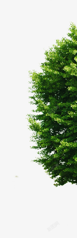 合成摄影绿色的大树造型效果素材