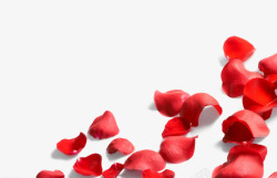 梦幻漂浮红色玫瑰花瓣素材