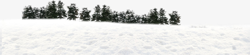 雪地景色图png免抠素材_88icon https://88icon.com 景色图 树 雪 雪地 雪地景色图
