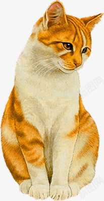 小猫动物png免抠素材_88icon https://88icon.com 动物 卡通 卡通猫咪 可爱 宠物 小猫 猫咪 猫猫