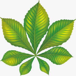 自然晒片多片叶子树叶手绘绿叶元素矢量图高清图片