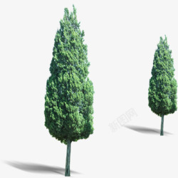 绿色大树企业装饰素材