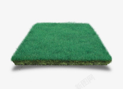 绿色清新草坪装饰图案素材