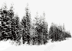 冬季景观雪景大树素材