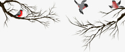 手绘冬至树枝小鸟素材