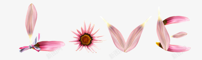 粉红花瓣漂浮png免抠素材_88icon https://88icon.com 漂浮 粉红 花瓣