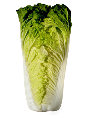 食物图案卡通食物蔬菜白菜图标图标