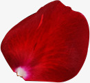 大红色漂浮花瓣素材