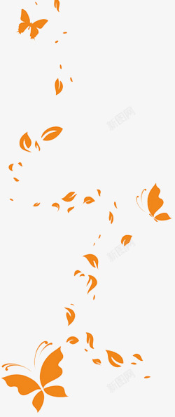 橘色的蝴蝶橙色蝴蝶变化漂浮高清图片