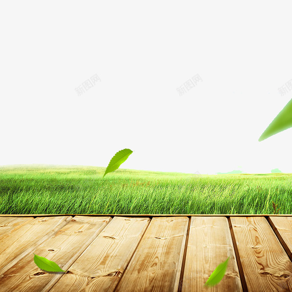 漂浮的绿叶png免抠素材_88icon https://88icon.com 木板 漂浮 田野 绿叶