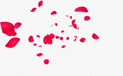 场景红色花瓣漂浮效果素材