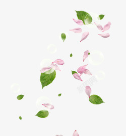粉色飘浮花瓣植物树叶气泡素材