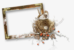 木质鸟巢边框素材