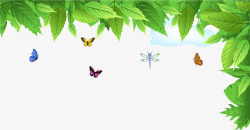 蝴蝶与花圈边框大自然绿色叶子边框高清图片