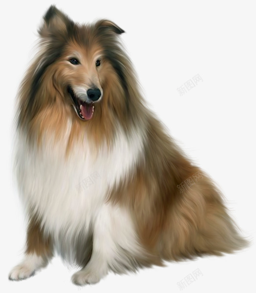 手绘狐狸犬png免抠素材_88icon https://88icon.com 动物 汪星人 狐狸犬 狗狗