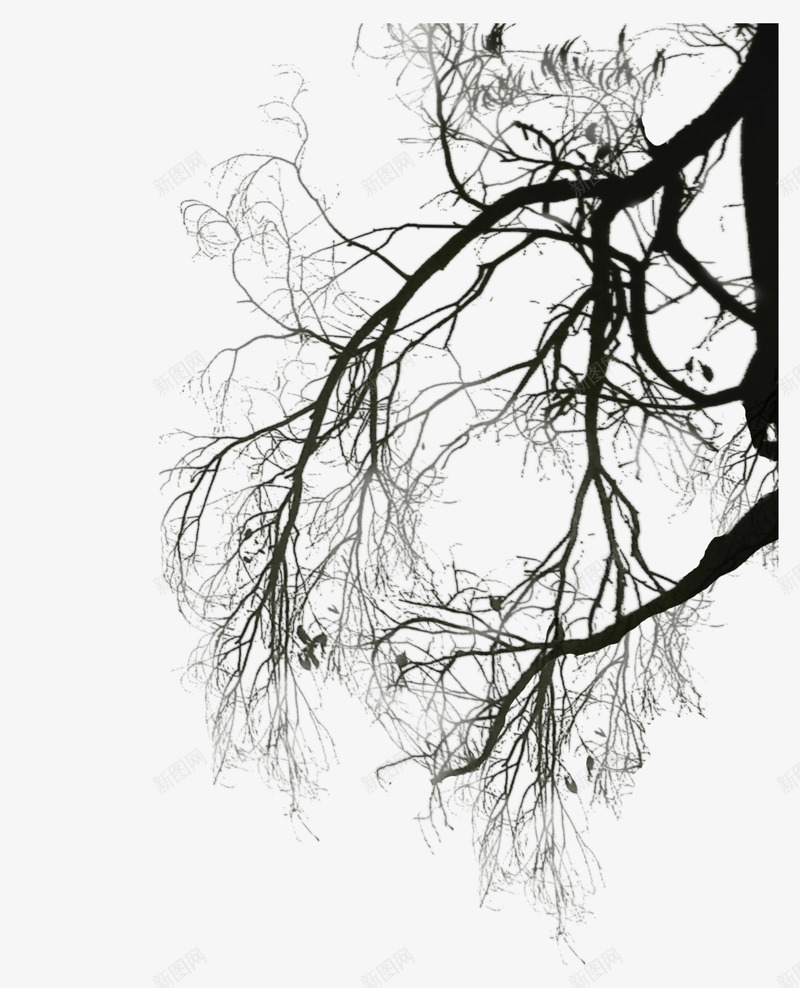 树枝水墨画图案png免抠素材_88icon https://88icon.com 冬季 新年 新年素材 春节元素 树 过年装饰