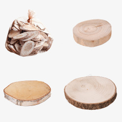 天然白桦木切片素材