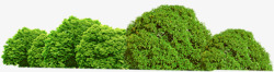 绿色清新大树树林景观素材