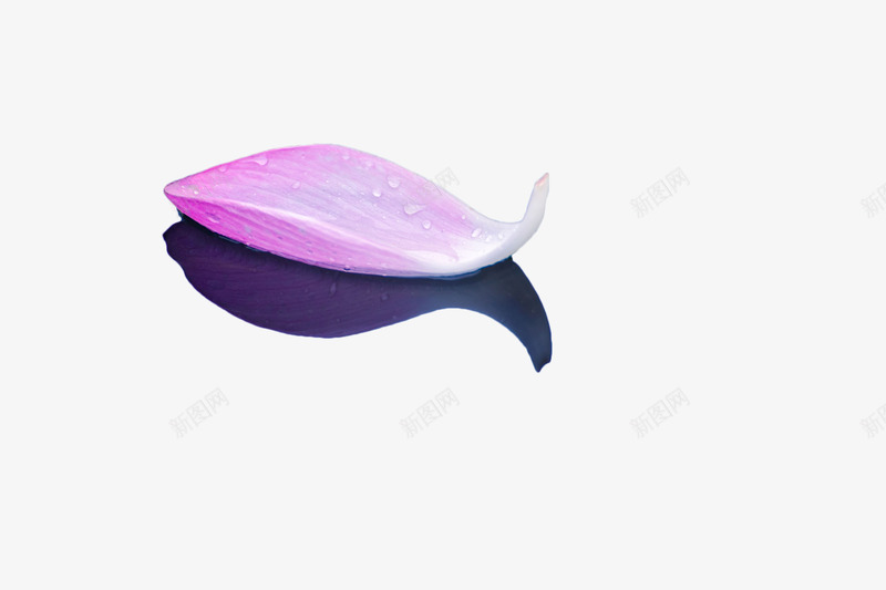 水面上的荷花瓣png免抠素材_88icon https://88icon.com 倒影 唯美 地上的花瓣 植物 漂浮 花卉 花瓣 荷花瓣 落地的花瓣 落花