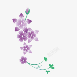 紫色花朵紫草小草素材