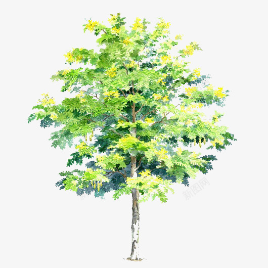 创意摄影合成效果绿色的大树png免抠素材_88icon https://88icon.com 创意 合成 大树 摄影 效果 绿色
