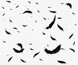手绘羽毛漂浮的黑色羽毛高清图片