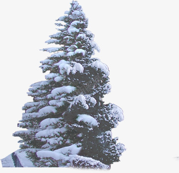 冬季雪景植物大树风景png免抠素材_88icon https://88icon.com 冬季 大树 植物 雪景 风景