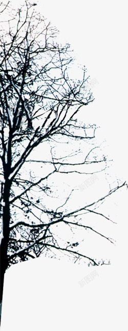 黑色萧瑟大树美景素材