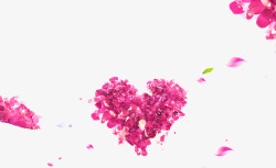 心形玫瑰花瓣素材