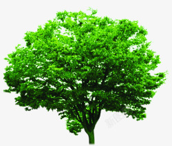 绿色大树环境素材