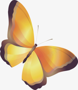 黄色美丽蝴蝶昆虫矢量图素材