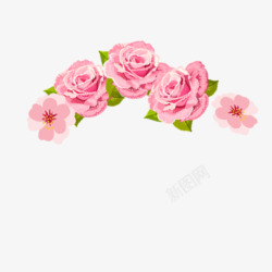 粉红色玫瑰花免费素材