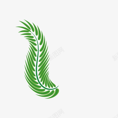 棕榈叶芭蕉叶绿色棕榈图标图标
