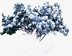 冬日白雪皑皑美景大树素材