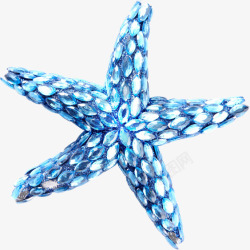 蓝色纹路海星素材