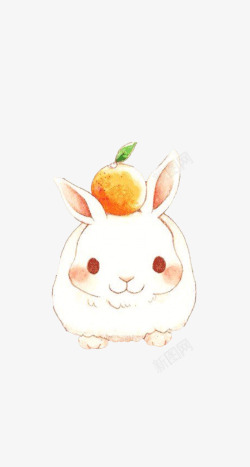 水果动物造型头顶橙子Q萌小兔子高清图片