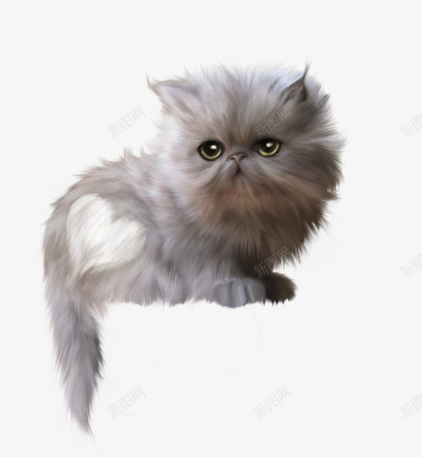 可爱小猫png免抠素材_88icon https://88icon.com 动物PNG素材 小猫 尾部爱心 特别的萌宠