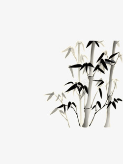 鍝佽川淇濊瘉竹子高清图片